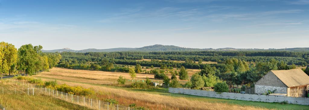 Jurajska Stokrotka Kotowice Exterior photo